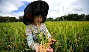 中央密切關(guān)注精準(zhǔn)扶貧 易地搬遷進(jìn)入十三五規(guī)劃