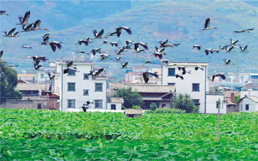 強(qiáng)化招商引資 推進(jìn)園區(qū)建設(shè)——訪市黨代表、工業(yè)園區(qū)主任李俊龍