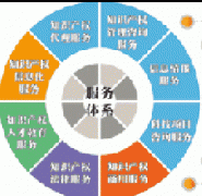 打造知識(shí)產(chǎn)權(quán)服務(wù)新業(yè)態(tài)策源地