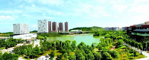 曹廣晶：東湖高新區(qū)為湖北省經(jīng)濟發(fā)展做出重要貢獻(xiàn)