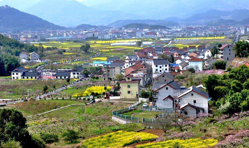 陳文勝：鄉(xiāng)村振興的資本、土地與制度邏輯