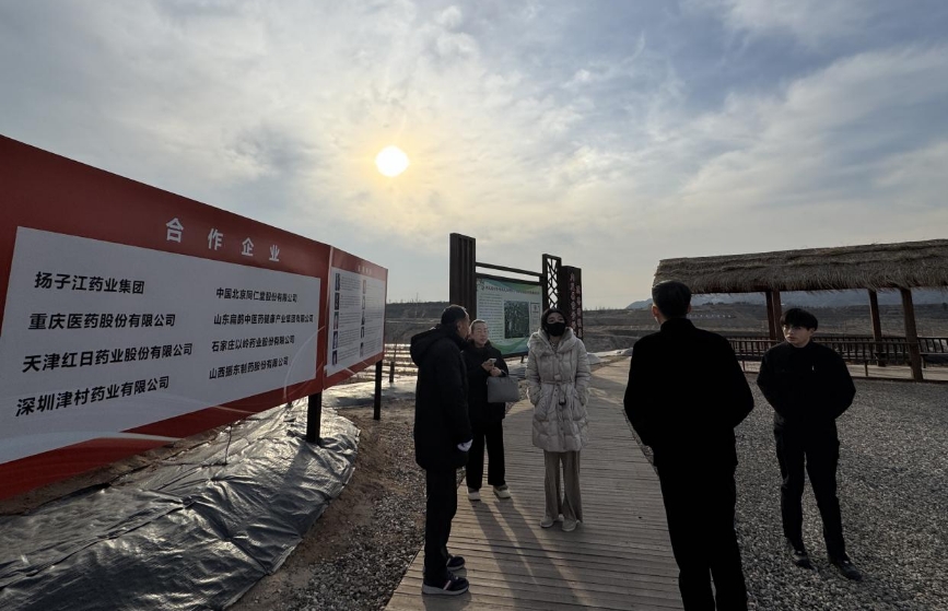 大盈之地，寶藏內(nèi)丘—我院專家組走進(jìn)太行山 酸棗之鄉(xiāng)調(diào)研
