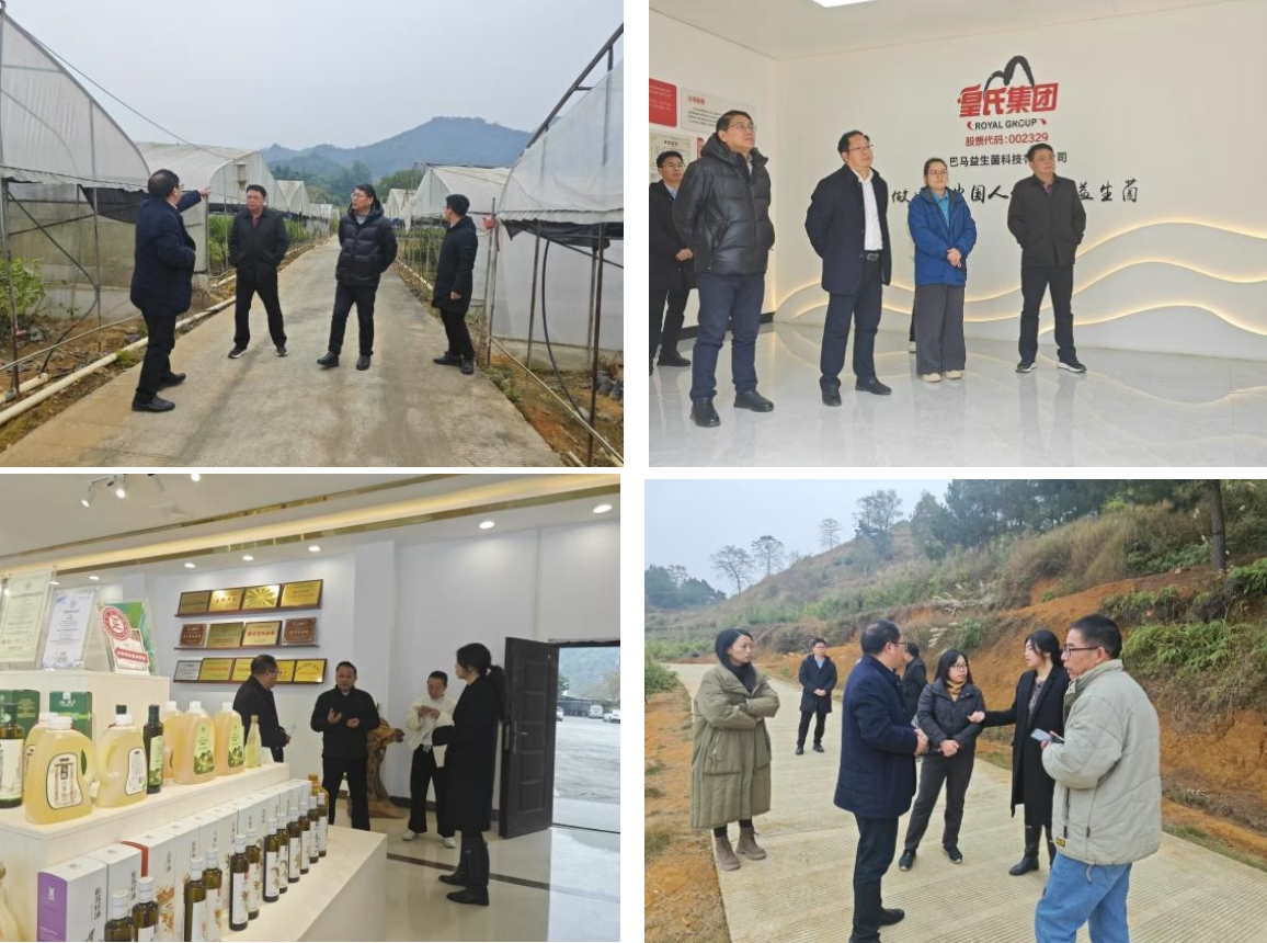 長壽之鄉(xiāng)，逐路之行——高新院專家組一行赴廣西巴馬瑤族自治縣開展河池農(nóng)高區(qū)創(chuàng)建調(diào)研